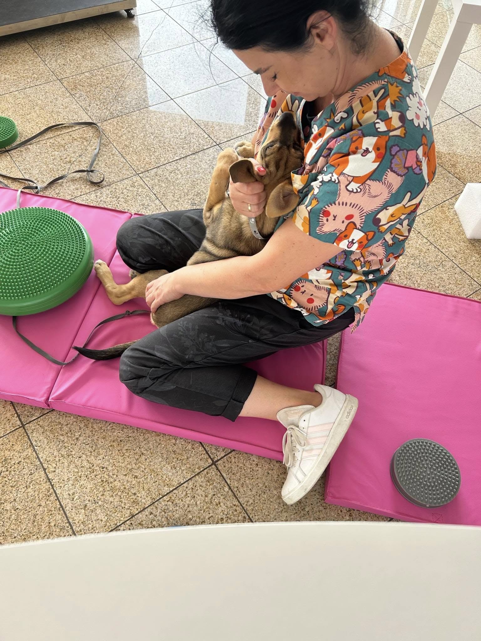Nasz zespół podczas rehabilitacji szczeniaka na macie